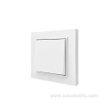 10Ax Two Way Wall Switch With Removable Frame